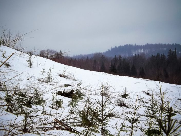 Aigars Krigerts. Bērzkalna pilsvietas meklējumos