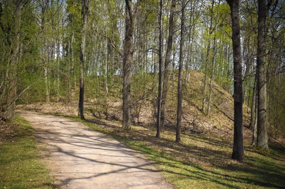 Aigars Krigerts & Laila Lūse. Cesvaines pilskalns