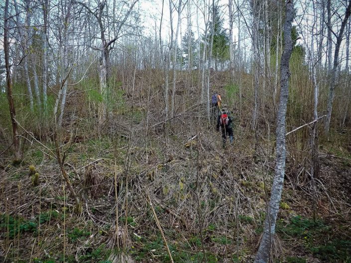 Aigars Krigerts, Laila Lūse. Arnicēnu pilskalns