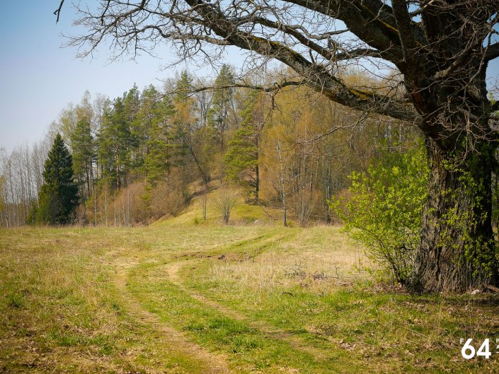 Photo Agency F64: Stupeļu pilskalns ar akmeni