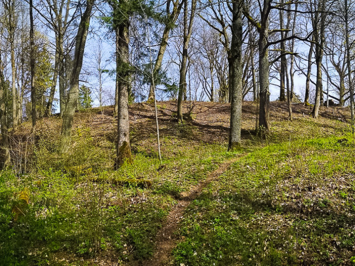 Vigo Leitholds. Plāteres pilskalns