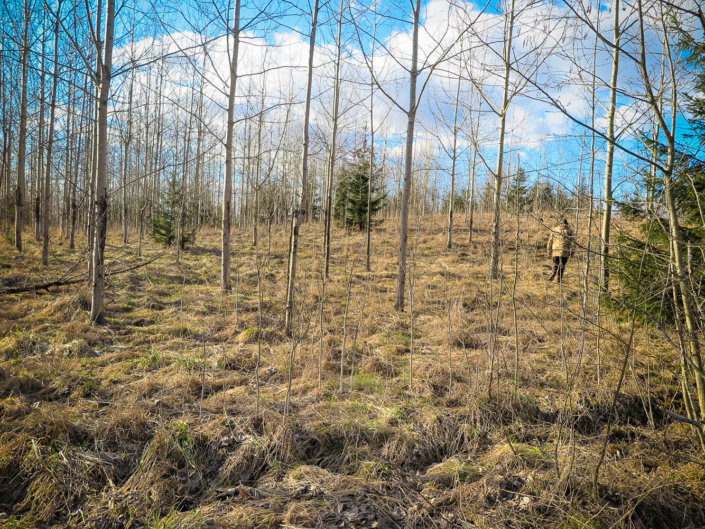 Aigars Krigerts. Lejasburkānu pilskalns