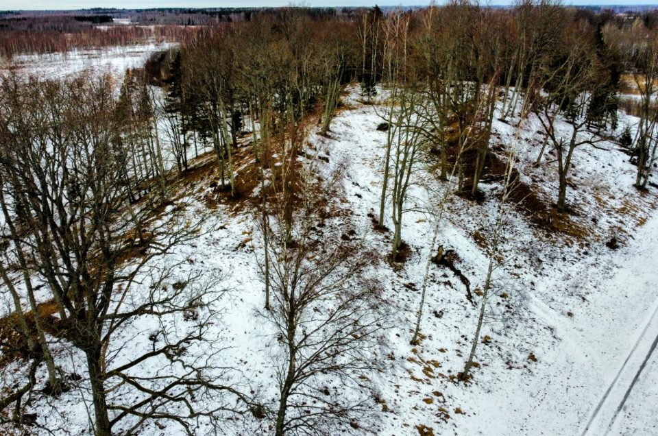 Gatis Kalniņš. Ungurkalns